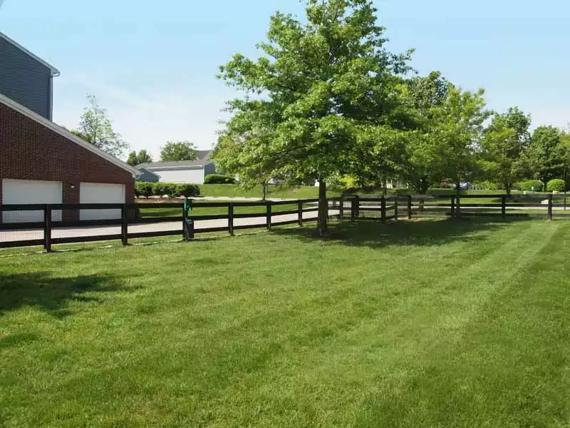 Fenced-in dog park at Shadow Ridge.