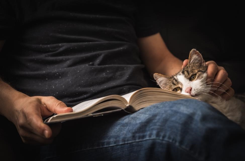 A man reading with his cat