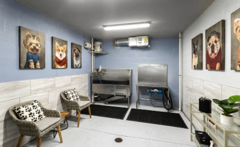 Pet grooming area at Rialto apartments