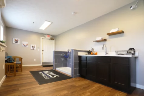 Mallard Landing dog bath