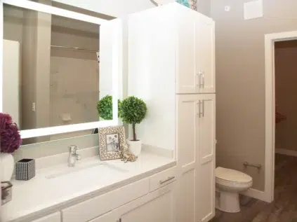 another bathroom at Allure apartments, view of mirror, sing and toilet