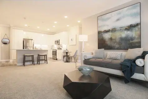 Rialto kitchen area and living space