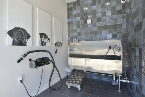 Altair in Florence Paw Spa for pet washing.