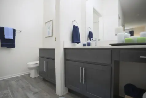 Reserve at Miller Farm private bathroom with dressing area.