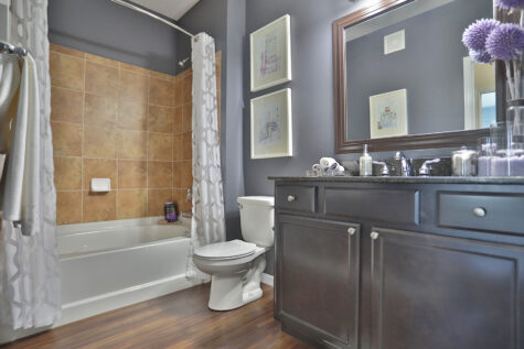 Two Bedroom Apartment Primary Bathroom