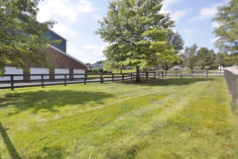 Shadow Ridge dog park