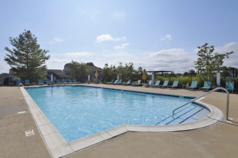 Shadow Ridge swimming pool