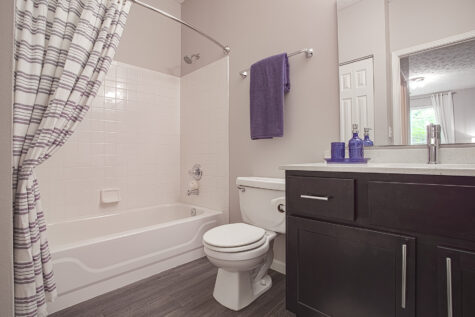 Modern bathroom at Sterling Lakes by HILLS Properties featuring a full-size bathtub and shower combination, contemporary vanity with quartz countertop, dark cabinetry, and durable wood-style flooring.