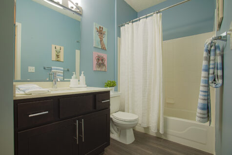Modern bathroom at Sterling Lakes Apartments in Mason, Ohio, featuring a dark wood vanity with a quartz-style countertop, blue accent walls, a full bathtub and shower combination with white tile surround, luxury vinyl plank flooring, and decorative artwork above the toilet.