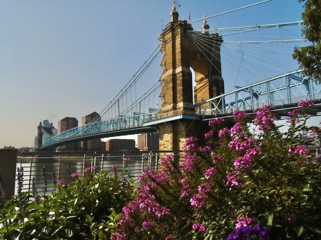 Pink flowers in historic downtown Cincinnati, Ohio.
