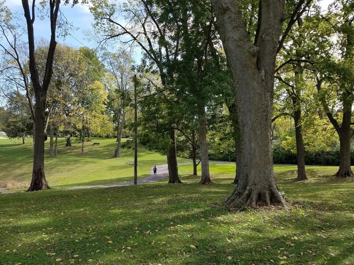 Public park trail lined with mature trees at Craig Park.